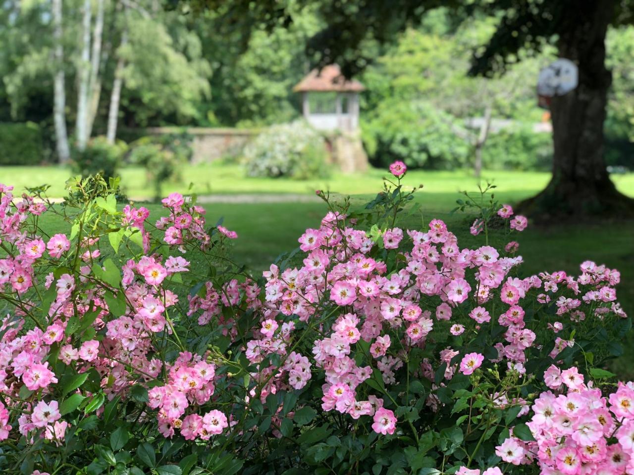 La Villa Rochette Forges-les-Bains Екстер'єр фото